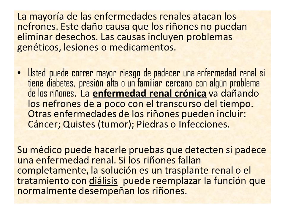 En rinones quistes dieta los
